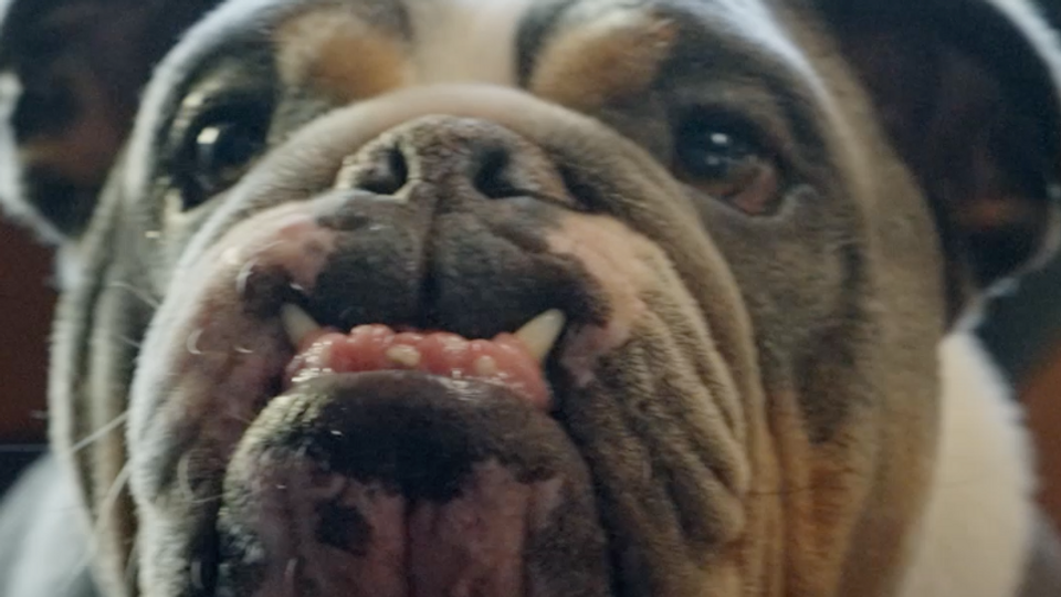 Whatever Fills Your Cup - Tiguan Campaign